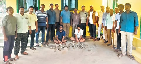 Two suspects caught by forest officials for allegedly carrying monitor lizards in Krishnagiri district on Sunday