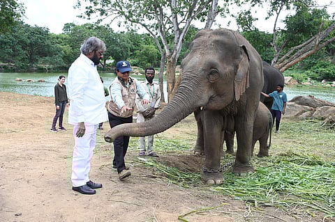 Minister Eshwar B Khandre with an elephant