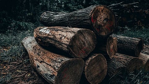 Representative image.