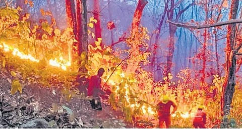 Forest fires take a toll on popular tourist hotspots of Uttarakhand