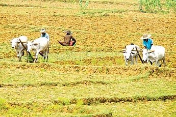 Representative Image.