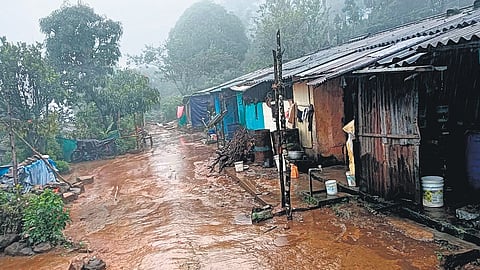 The dilapidated labour lane of KFDC plantation in Gavi