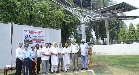 Punjab State Power Corporation Limited commissions seven solar trees in Patiala