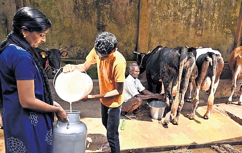 Consumption of dairy products has substantially decreased across TN, forcing companies to cut prices, said an official from the milk producers union