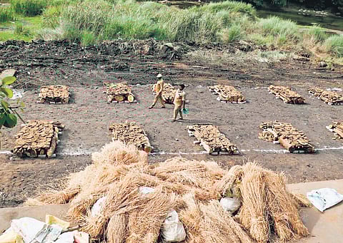 Wooden logs being arranged for mass cremation of the bodies of the hooch tragedy victims in Kallakurichi