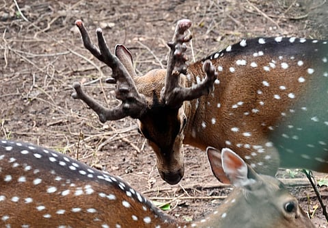 Image used for representational purposes only