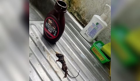 The family confirmed that it was a dead mouse after they poured out the bottle.