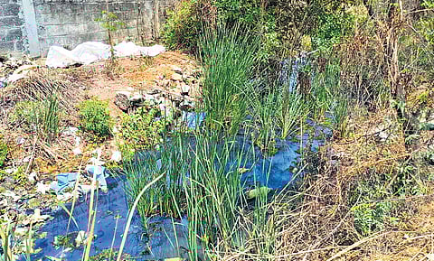 The factories have allegedly been letting out sewage to Periya Kulam