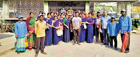 Plastic-free revolution