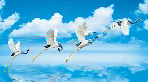 Reject 'excuses' to boost efficiency, performance and growth