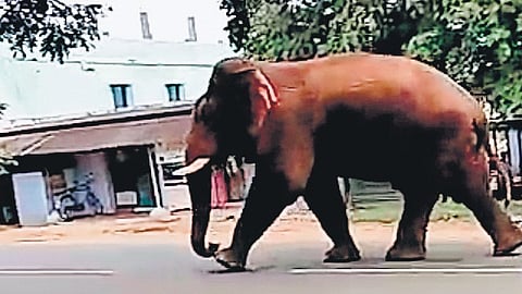 Image used for representational purpose.