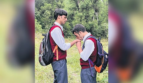 Pine Cone is deeply personal for him. It was conceived during a time of professional frustration.