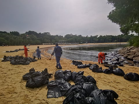 Workers clean oil spill along Sentosa's Tanjong Beach area in Singapore