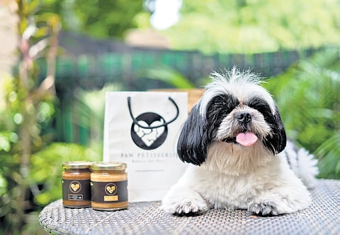 Image used for representational purposes only