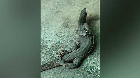 Image used for representational purpose.