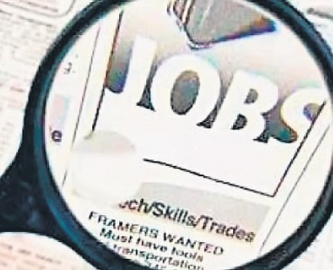 Hiring activity sees 11% annual surge in May