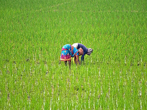 Image used for representation purposes only.