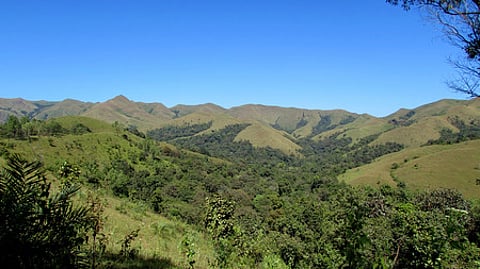 A view of the Western Ghats
