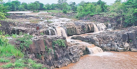 With rains in the catchment areas, the Pochera (shown in the photograph) and Kuntala waterfalls have become a visual treat for tourists visiting the erstwhile Adilabad district. The cultivation of cotton, soybean and other crops is also underway. But, the opencast mines of SCCL are inundated, affecting coal production