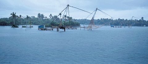 Backwaters in Kadamakkudy