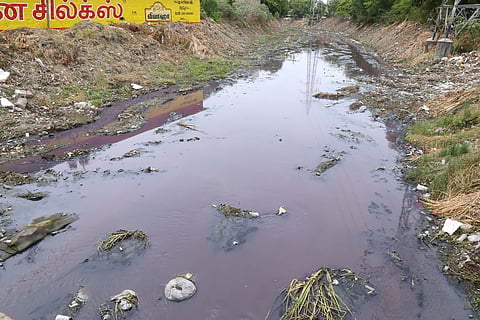 The water in Chinnakarai stream, a branch canal of river Noyyal in Tiruppur, was discoloured on Sunday