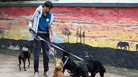 Image used for representational purposes only