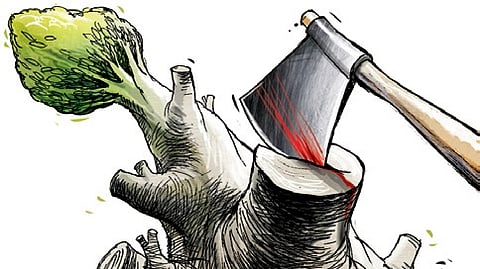 Image used for representational purpose.