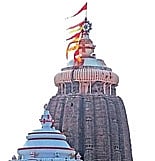 Image used for representation.