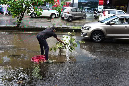When the pothole on the stadium link road was not visible due to the rain, a migrant worker tried to close the pothole with a plant