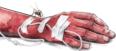 Dengue Fever