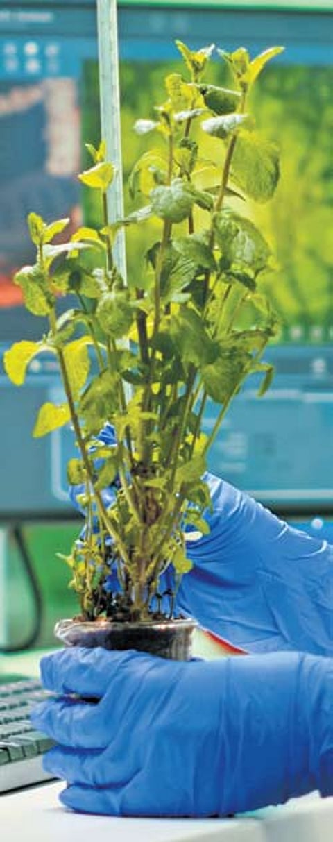 Representative Image.