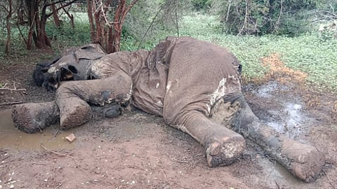 Image used for representative purpose only.