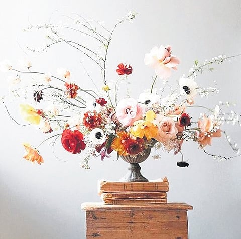 The round thick leaves last long, have an attractive fullness to them and let out a citrusy fragrance when rubbed.