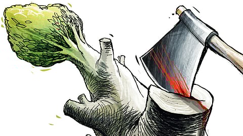 Image used for representational purpose.