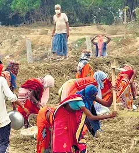Rural distress: Bihar, UP used less NREGA funds than states with lower poverty levels