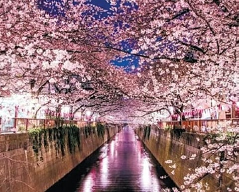 Representative photo