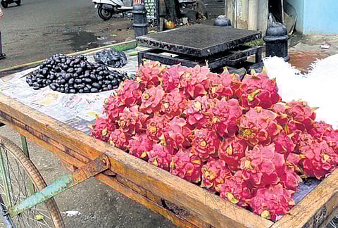 Dragon fruits being sold on the streets of Shivamogga city on Tuesday
