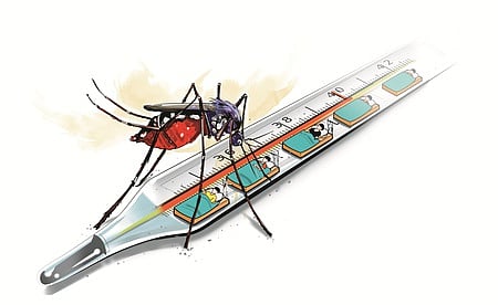 Image used for representation