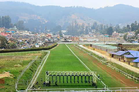 Image of leased land used for representative purpose