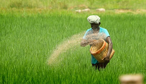 Image used for representational purpose.