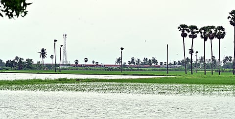 Paddy fields submerged in rain in Raghunathpur.