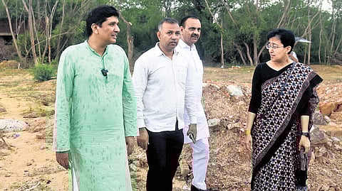 AAP leaders inspecting the ridge site where trees were felled