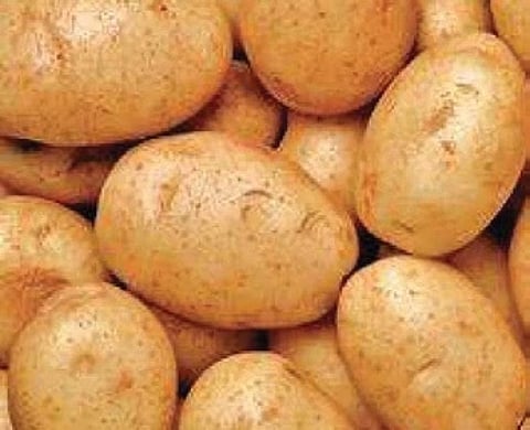 Notwithstanding Odisha government claim, potatoes remain pricey in Bhubaneswar