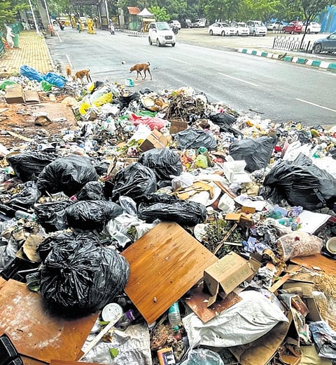 A heap of garbage was seen scattered on the road near Vidhana Soudha on Friday.