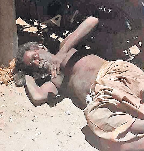 Kattumari lying on a pavement in Madurai