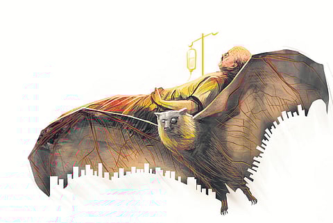 Image used for representational purposes.