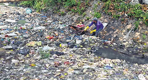 A sanitation worker cleaning the garbage's dumbed in a canal