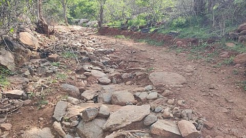 The mud road to Kadambakuttai tribal village in Bettamugilalam panchayat of Krishnagiri district.