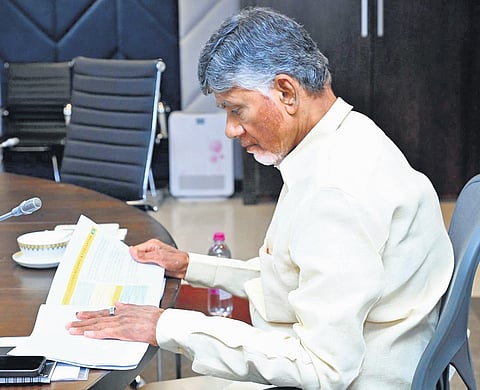 Chief Minister N Chandrababu Naidu