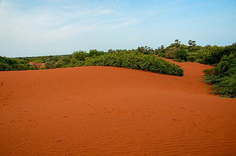 Theri Kaadu red desert a small desert in the reserve forest of Tiruchendur in Thoothukudi district.
